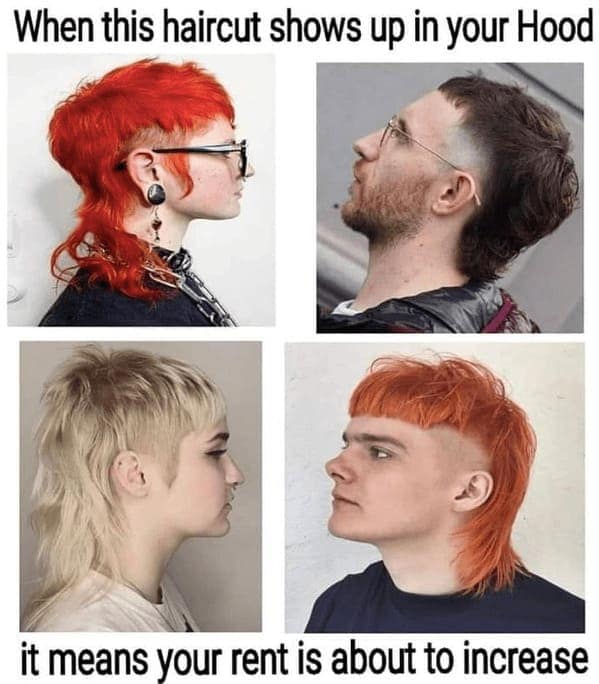 landlord memes, renter memes, enting humor, tenant struggles, lease laughs, rental memes, apartment humor, property management laughs