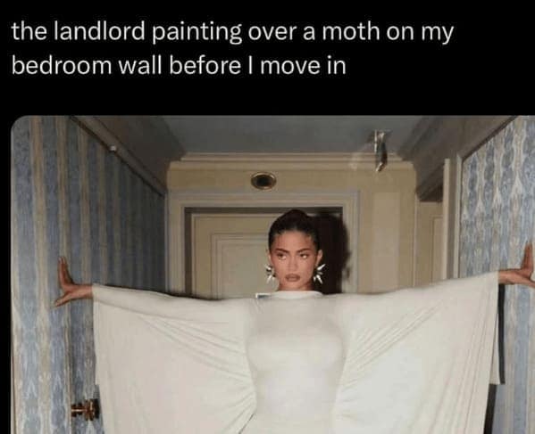 landlord memes, renter memes, enting humor, tenant struggles, lease laughs, rental memes, apartment humor, property management laughs
