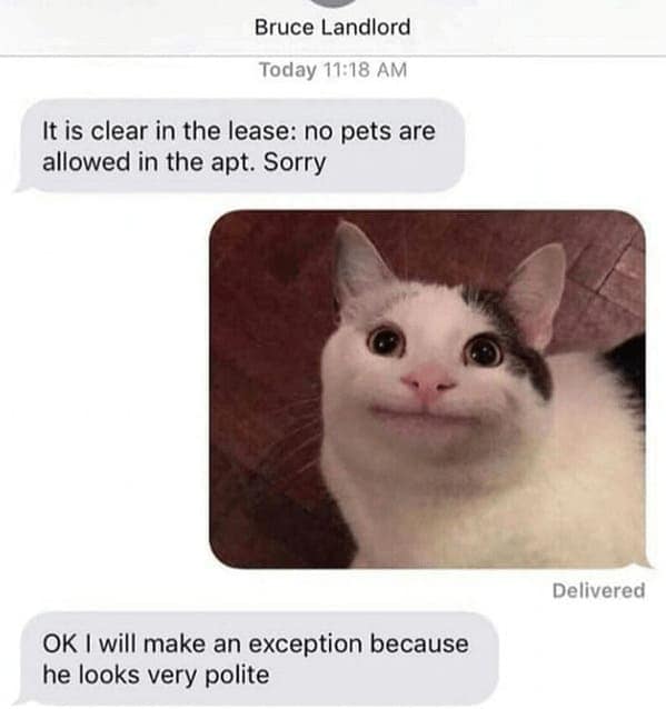 landlord memes, renter memes, enting humor, tenant struggles, lease laughs, rental memes, apartment humor, property management laughs