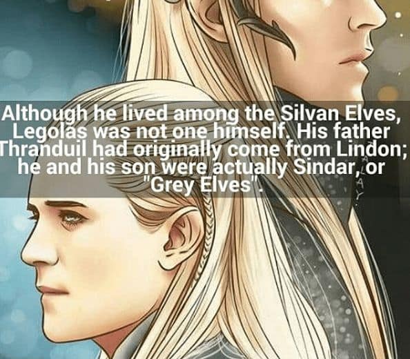 Although he lived among the Silvan Elves, Legolas was not one himself. His father Thrandul had originally come from Lindon; he and his son were actually sindar,.or "Grey Elves