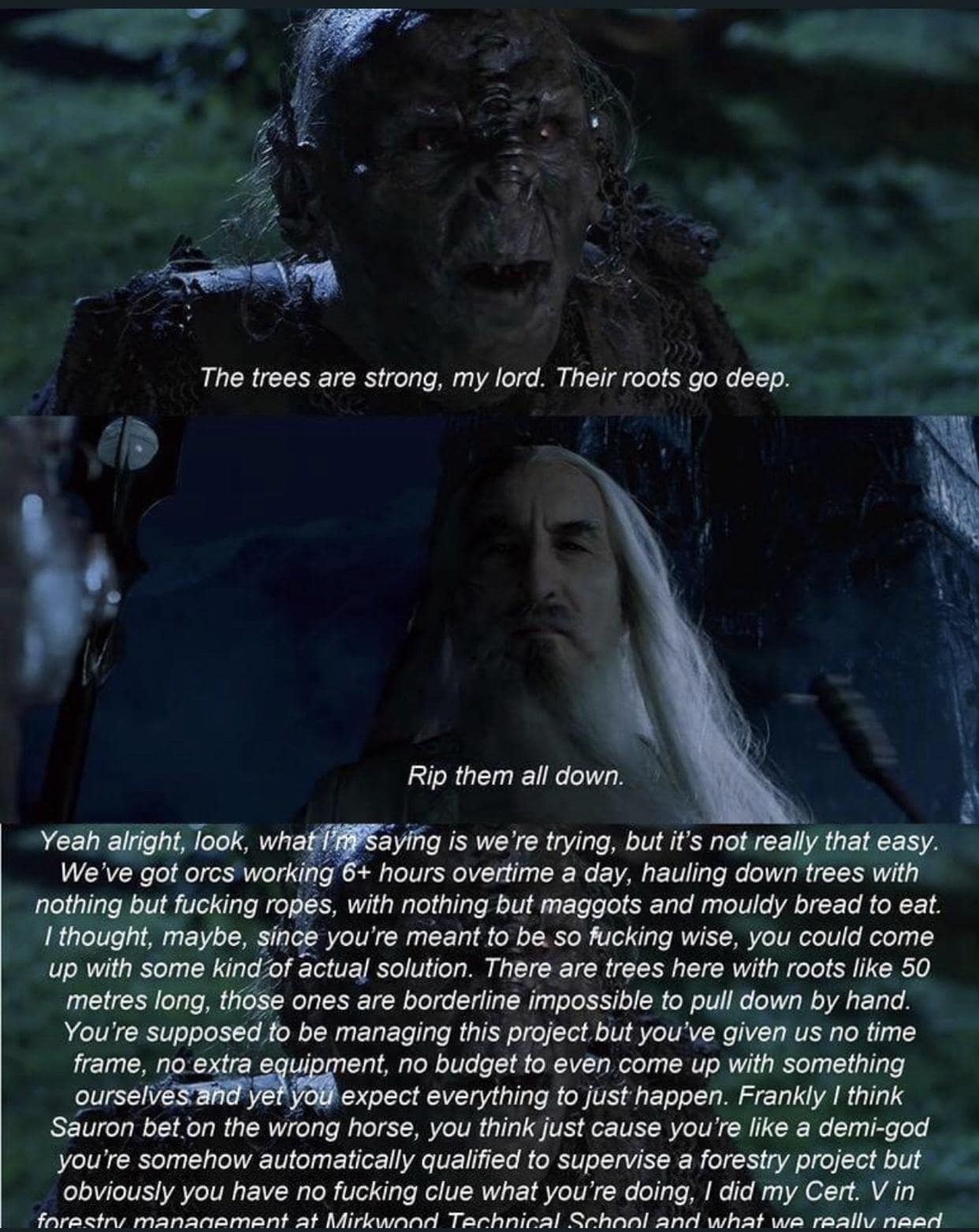 LoTR memes, Lord of the rings memes, Lord of the Rings humor, Middle-earth jokes, Tolkien memes, Hobbit memes, Tolkien humor, fantasy laughs