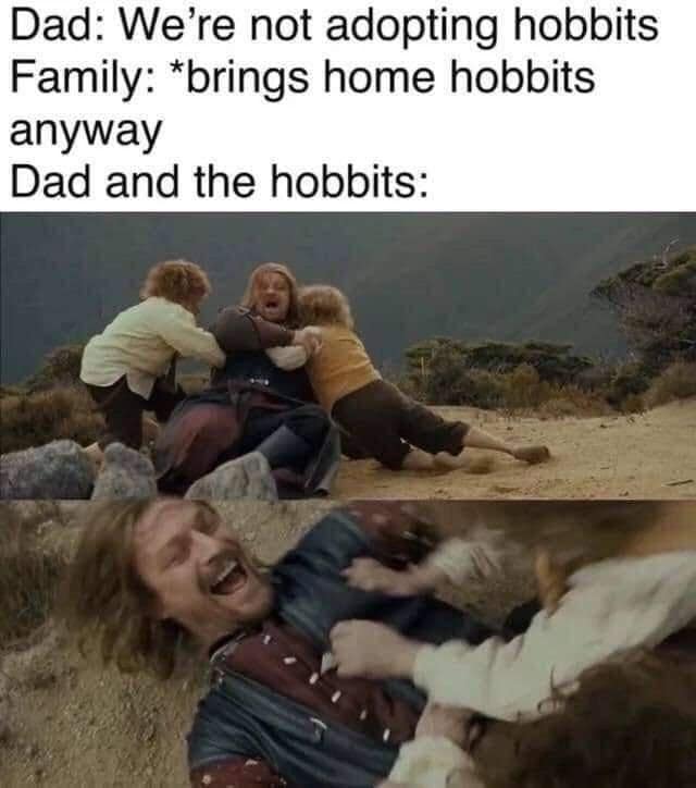 LoTR memes, Lord of the rings memes, Lord of the Rings humor, Middle-earth jokes, Tolkien memes, Hobbit memes, Tolkien humor, fantasy laughs
