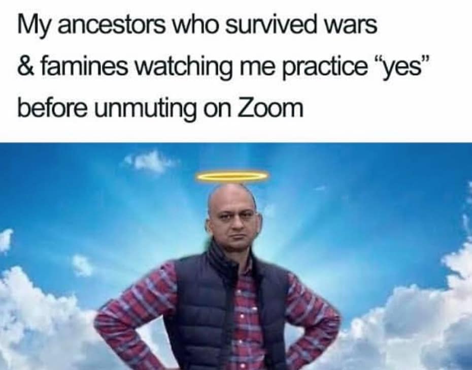 meme dump, hilarious memes, funny memes, internet humor, curated collection, comedy compilation, meme selection, humorous images