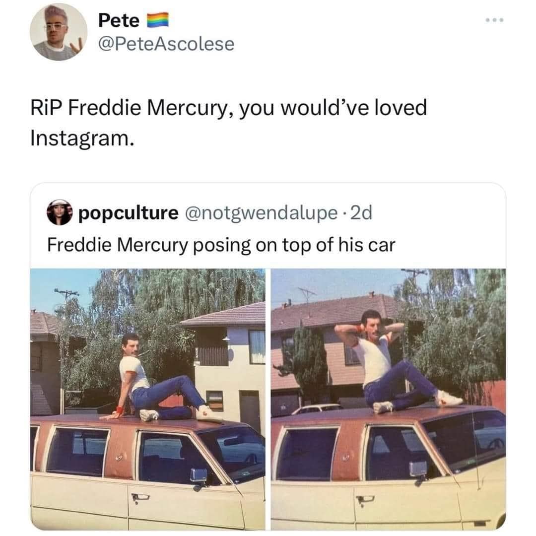 meme dump, hilarious memes, funny memes, internet humor, curated collection, comedy compilation, meme selection, humorous images