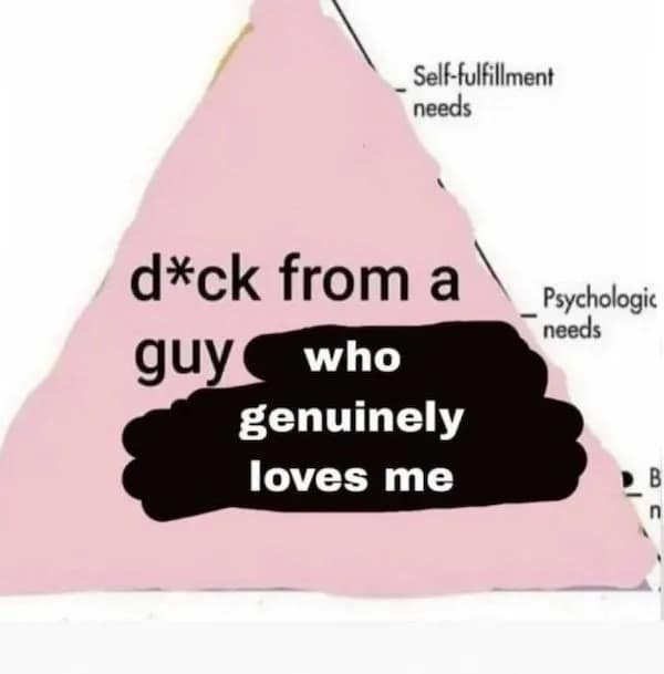 meme dump, hilarious memes, funny memes, lunch break memes, midday chuckles, funny pictures, funny pics