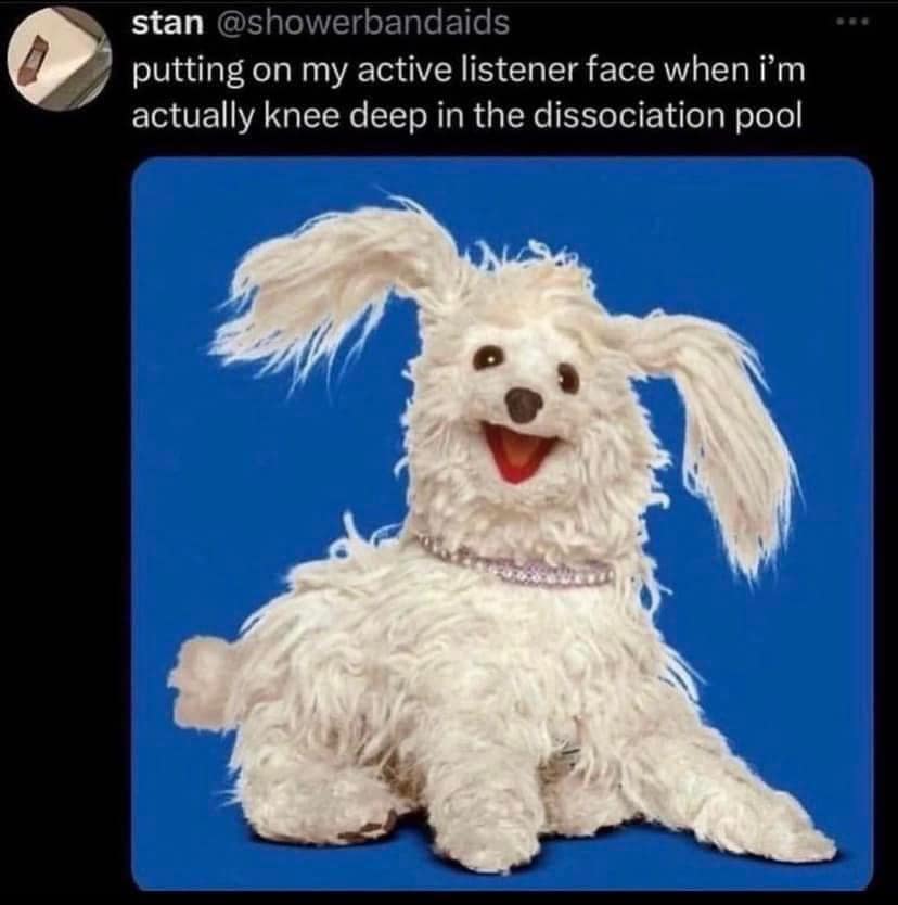 meme dump, hilarious memes, funny memes, laughter-inducing memes, amusing memes, comical memes, uproarious memes