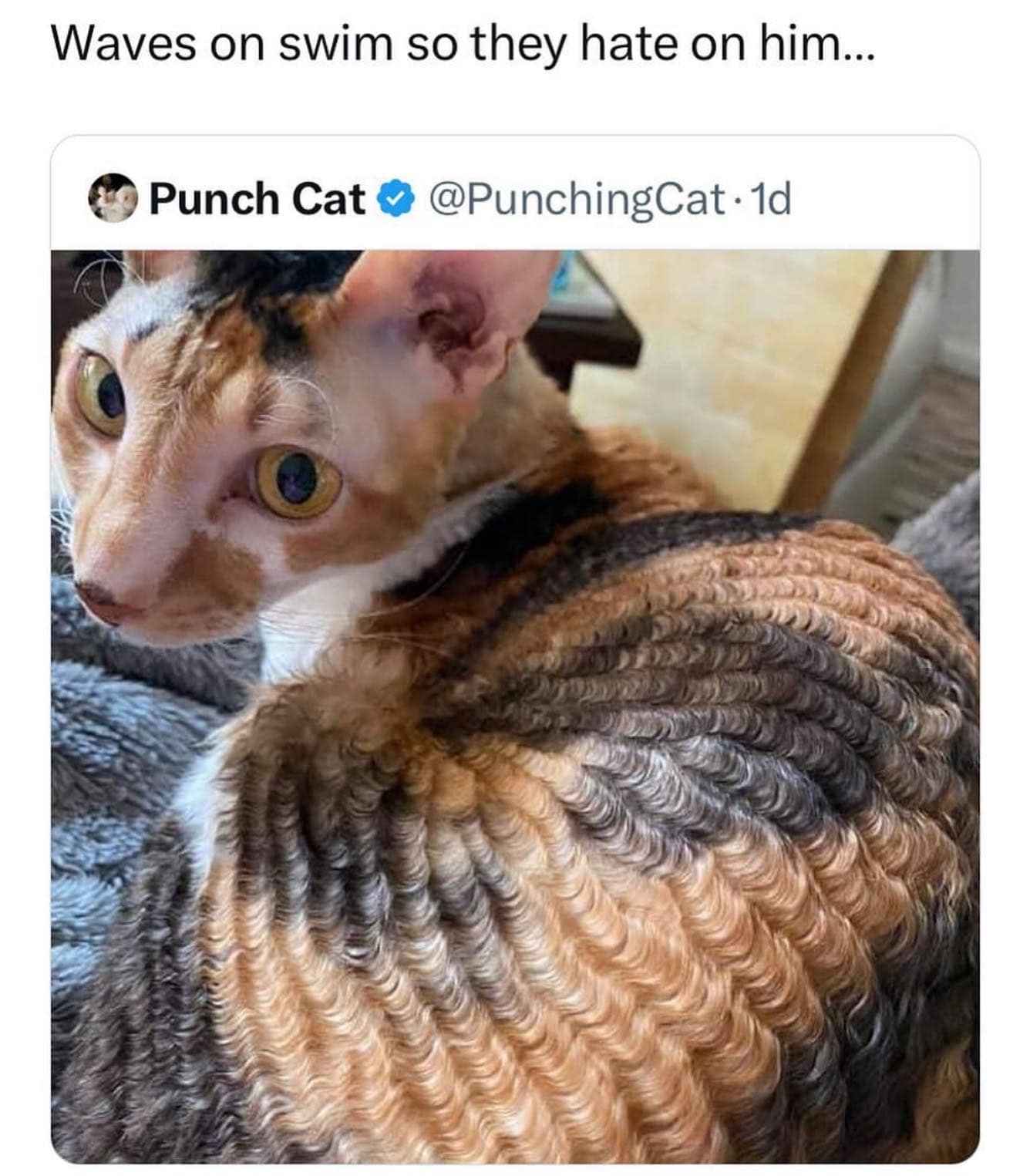 meme dump, hilarious memes, best memes, daily memes, Lunch Break Humor, Funny Images, Internet Comedy, funny memes, Meme Collection, Humorous Picture Compilation, Laughable Image Assortment