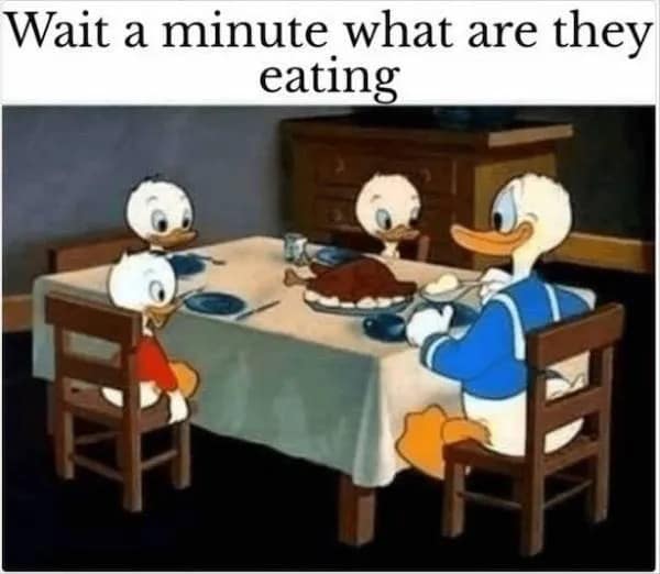 meme dump, hilarious memes, funny memes, lunch break memes, midday chuckles, funny pictures, funny pics