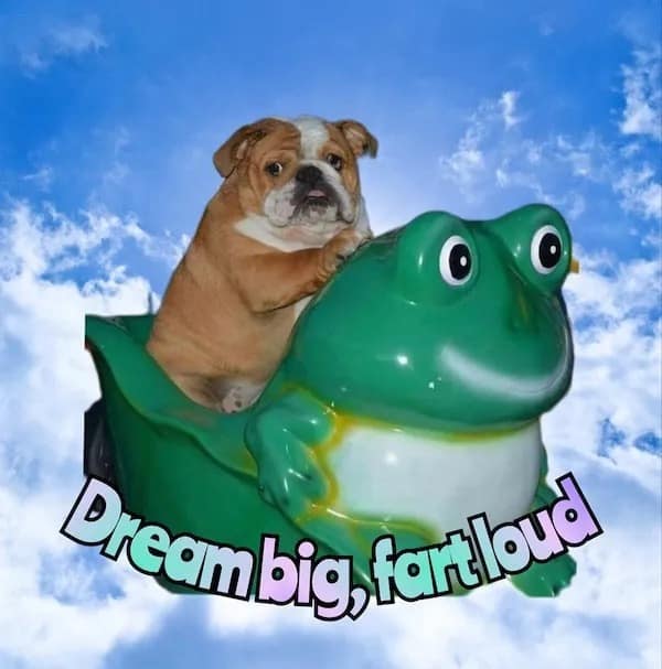 meme dump, hilarious memes, funny memes, weekly memes, Sunday meme madness, laugh break memes, meme collection, meme roundup, meme bonanza