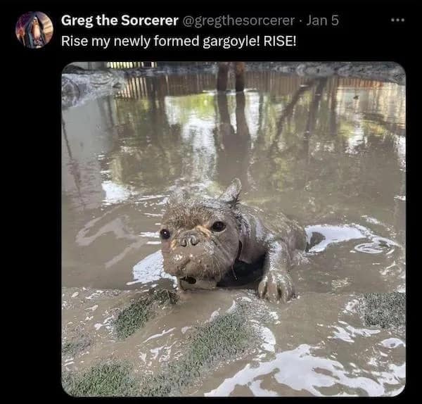 meme dump, hilarious memes, funny memes, weekly memes, Sunday meme madness, laugh break memes, meme collection, meme roundup, meme bonanza