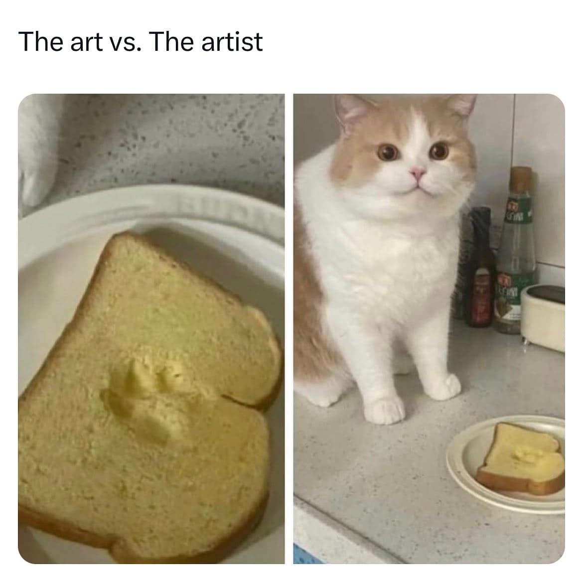 meme dump, hilarious memes, best memes, daily memes, Lunch Break Humor, Funny Images, Internet Comedy, funny memes, Meme Collection, Humorous Picture Compilation, Laughable Image Assortment