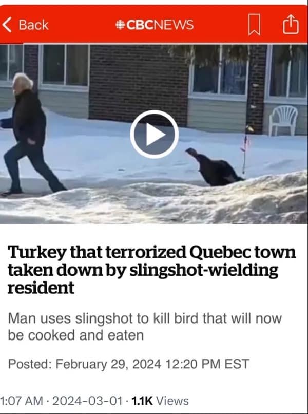 meme dump, hilarious memes, Saturday Humor, Weekend Memes, Internet Comedy Synonyms: Funny Memes Compilation, Weekend Laughs, Meme Extravaganza, best memes, daily memes