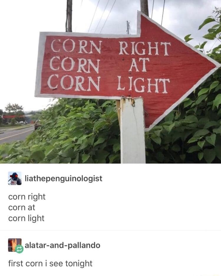 meme dump, hilarious memes, Saturday memes, weekend humor, comedy collection, meme compilation, laughter fest, humor roundup