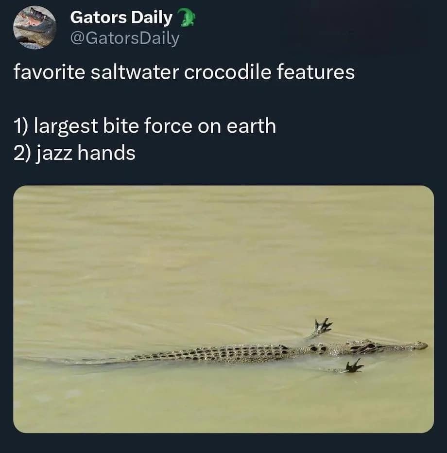 meme dump, hilarious memes, funny memes, funny pictures, daily memes, lunch break memes, daily laughs, internet comedy, humor compilation, meme buffet, comedy roundup