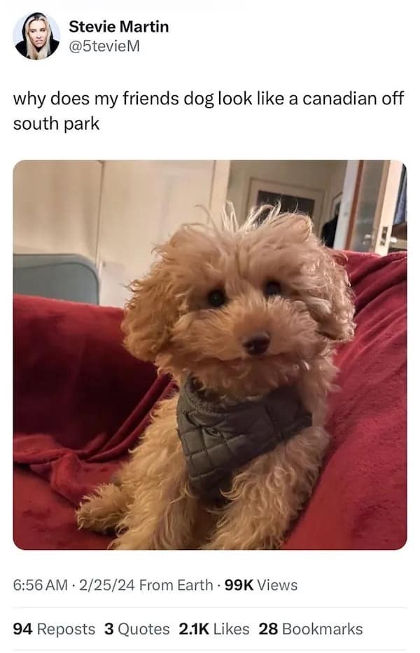 meme dump, hilarious memes, funny memes, lunch break memes, midday chuckles, funny pictures, funny pics