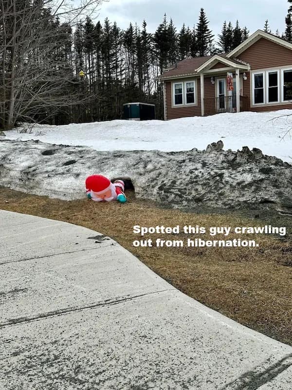 meme dump, hilarious memes, funny memes, funny pictures, daily memes, lunch break memes, daily laughs, internet comedy, humor compilation, meme buffet, comedy roundup