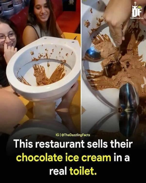 meme dump, hilarious memes, funny memes, lunch break memes, midday chuckles, funny pictures, funny pics