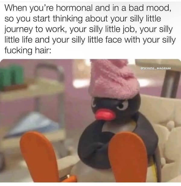 When you're hormonal and in a bad mood, so you start thinking about your silly little journey to work, your silly little job, your silly little life and your silly little face with your silly hair