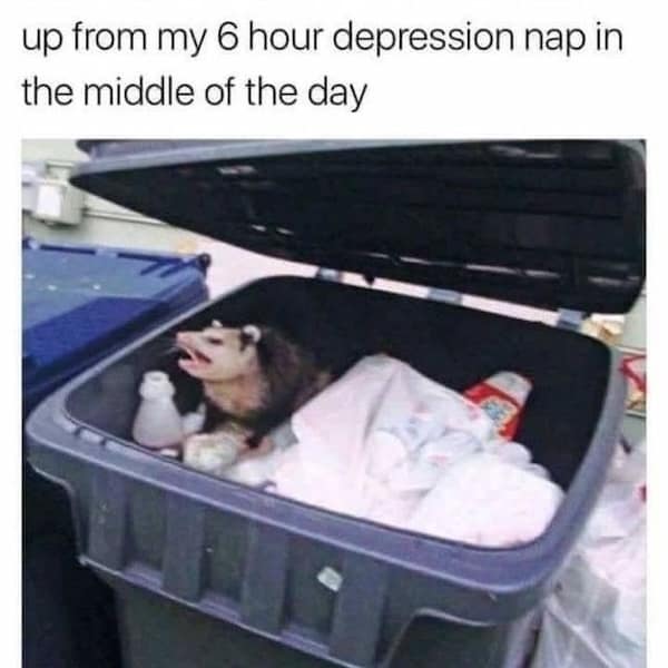 up from my 6 hour depression nap in the middle of the day