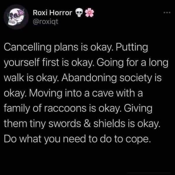 Cancelling plans is okay. Putting yourself first is okay. Going for a long walk is okay. Abandoning society is okay. Moving into a cave with a family of raccoons is okay. Giving them tiny swords & shields is okay. Do what you need to do to cope.