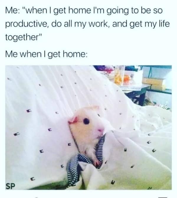 Me: "when I get home l'm going to be so productive, do all my work, and get my life together" Me when I get home: