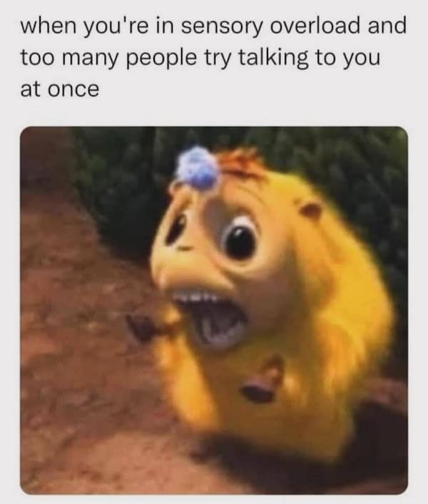when you're in sensory overload and too many people try talking to you at once