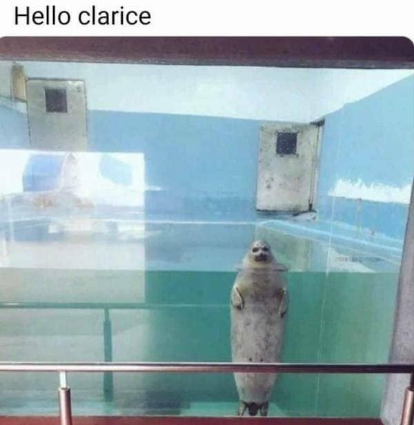 movie memes, film memes, cinema memes, cinematic memes, Funny Movie Memes, Classic Movie Memes,