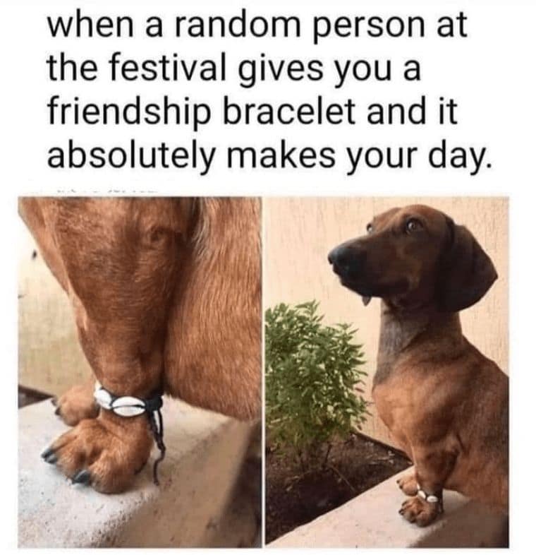 when a random person at the festival gives you a friendship bracelet and it absolutely makes your day.