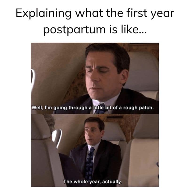 Explaining what the first year postpartum is like...