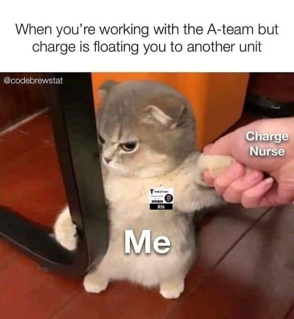 Nursing memes  When you're working with the A-team but charge is floating you to another unit @codebrewstat Charge Nurse RN Me