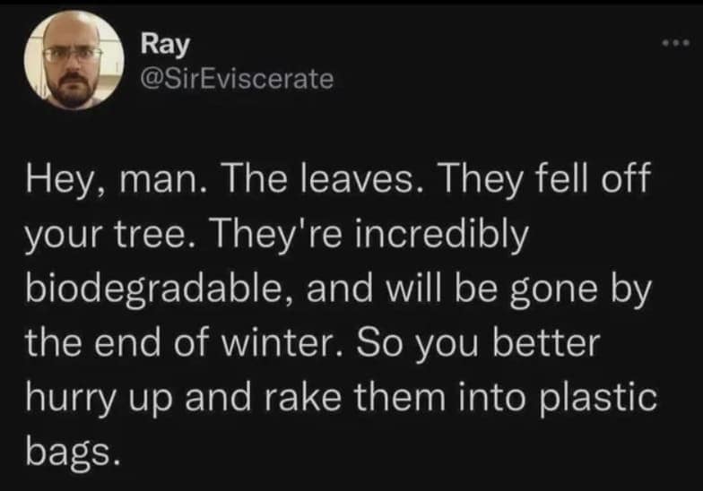 oddly specific memes, oddly accurate memes, relatable memes, niche memes, specific humor, specific AF memes, hilariously relatable memes