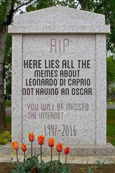 oscars memes, academy awards humor, awards ceremony jokes, celebrity memes