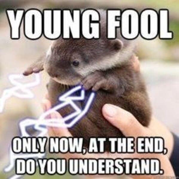 otter memes, otter humor, cute animal humor, river animal jokes, aquatic creature memes, otter jokes, river mammal memes, adorable animal humor