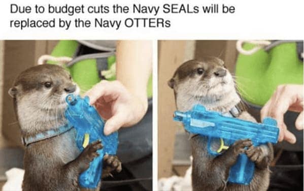 otter memes, otter humor, cute animal humor, river animal jokes, aquatic creature memes, otter jokes, river mammal memes, adorable animal humor