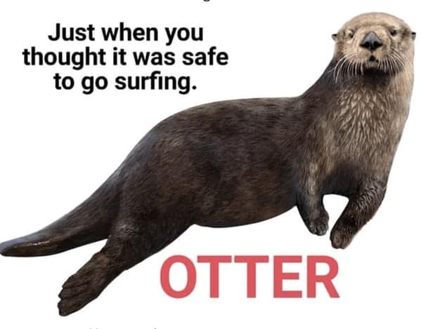 otter memes, otter humor, cute animal humor, river animal jokes, aquatic creature memes, otter jokes, river mammal memes, adorable animal humor