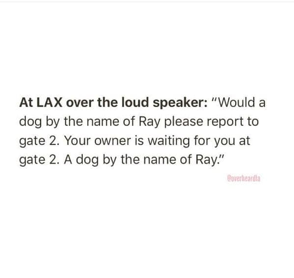 At LAX over the loud speaker: "Would a dog by the name of Ray please report to gate 2. Your owner is waiting for you at gate 2. A dog by the name of Ray."