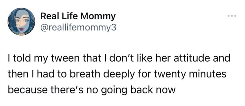 parenting memes, funny parenting tweets, mom memes, dad memes, Hilarious Parenting Sayings, Witty Mom/Dad Jokes
