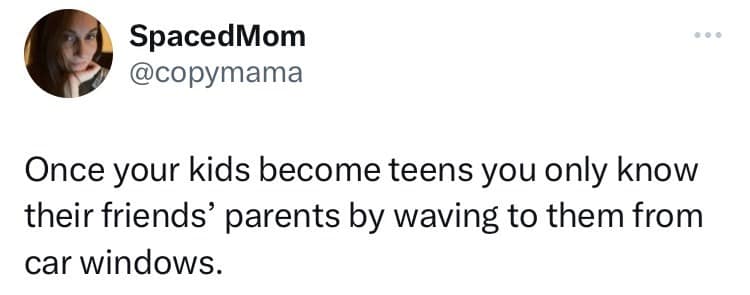 parenting memes, funny parenting tweets, comedic family quips, chuckle-inducing mommy memes, hilarious dad jokes