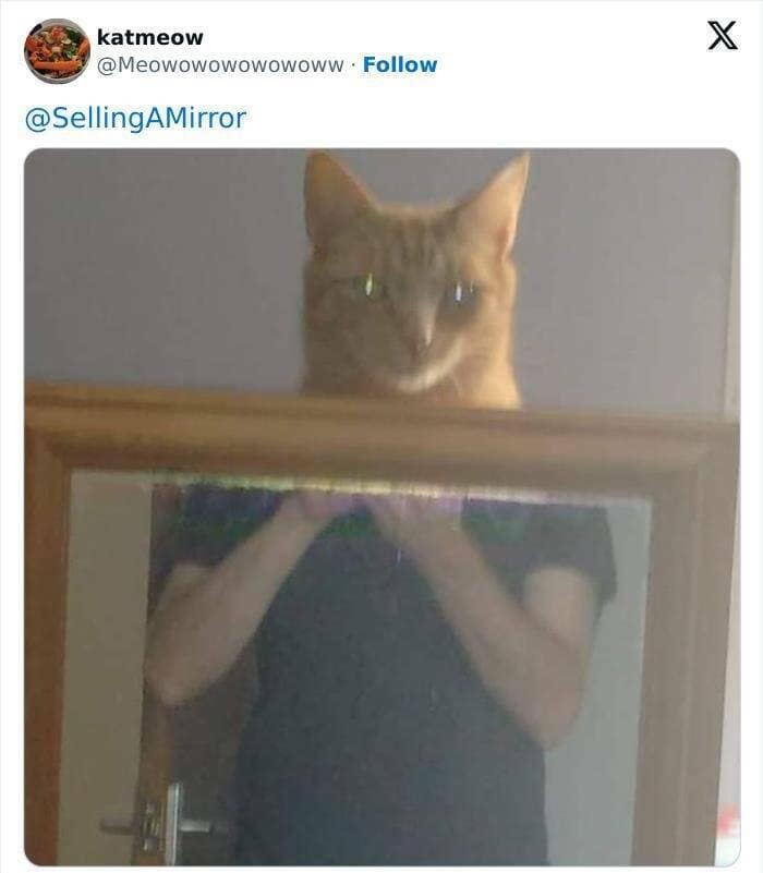 people selling mirrors, mirror sale fails, Online Sales Absurdities, Reflection Photography, Reflective Merchandise Listings, Mirror Market Mishaps,