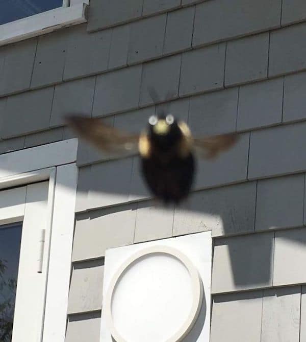perfectly timed photos, funny pictures, awesome photos, funny pics, awesome timing