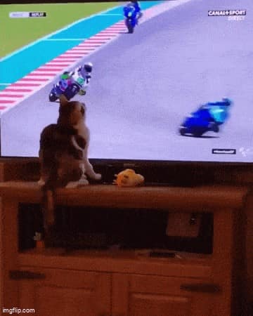 perfectly timed photos, funny pictures, awesome photos, funny pics, awesome timing