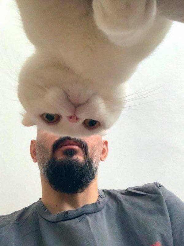 perfectly timed photos, funny pictures, awesome photos, funny pics, awesome timing