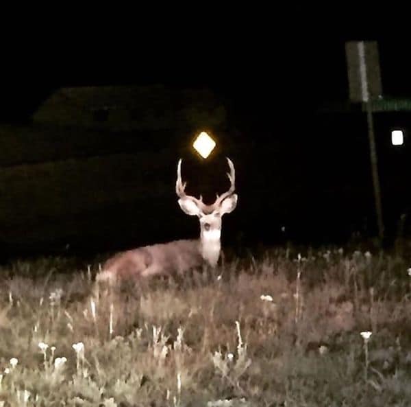 perfectly timed photos, funny pictures, awesome photos, funny pics, awesome timing