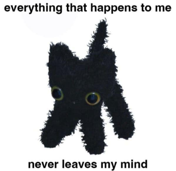 relatable memes, veryday struggles humor, universal challenges memes, life's little absurdities, relatable humor, common experiences memes, shared