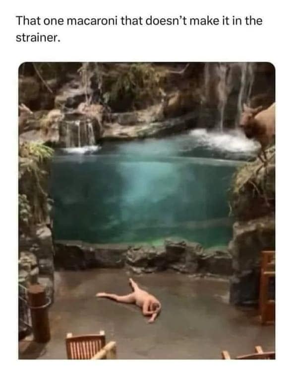 relatable memes, universal memes, shared experiences, human connection, relatable humor, relatable jokes, meme camaraderie