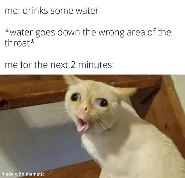 relatable memes, universal memes, shared experiences, human connection, relatable humor, relatable jokes, meme camaraderie