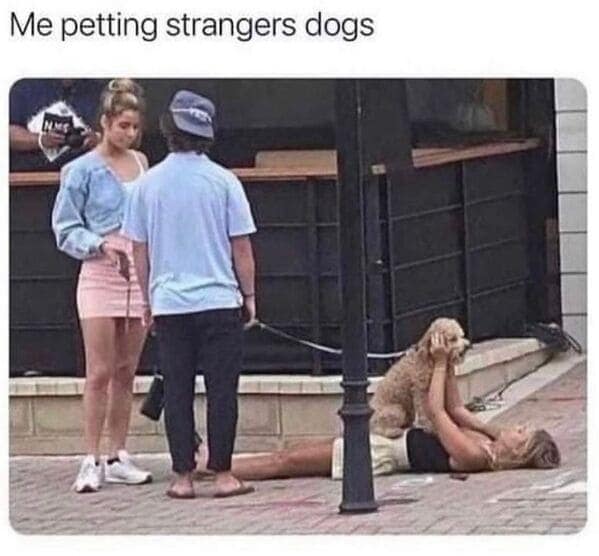 relatable memes, universal memes, shared experiences, human connection, relatable humor, relatable jokes, meme camaraderie