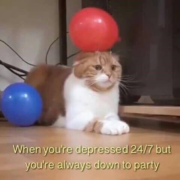 relatable memes, veryday struggles humor, universal challenges memes, life's little absurdities, relatable humor, common experiences memes, shared