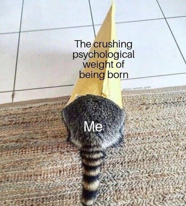 relatable memes, veryday struggles humor, universal challenges memes, life's little absurdities, relatable humor, common experiences memes, shared