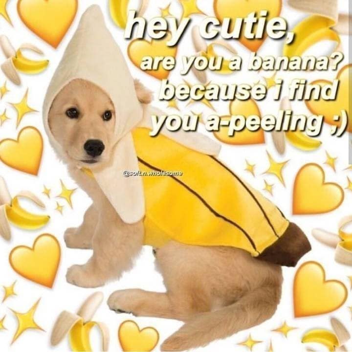 relationship memes, love memes, couples humor, romantic laughter, partnership memes, dating humor, affectionate jokes